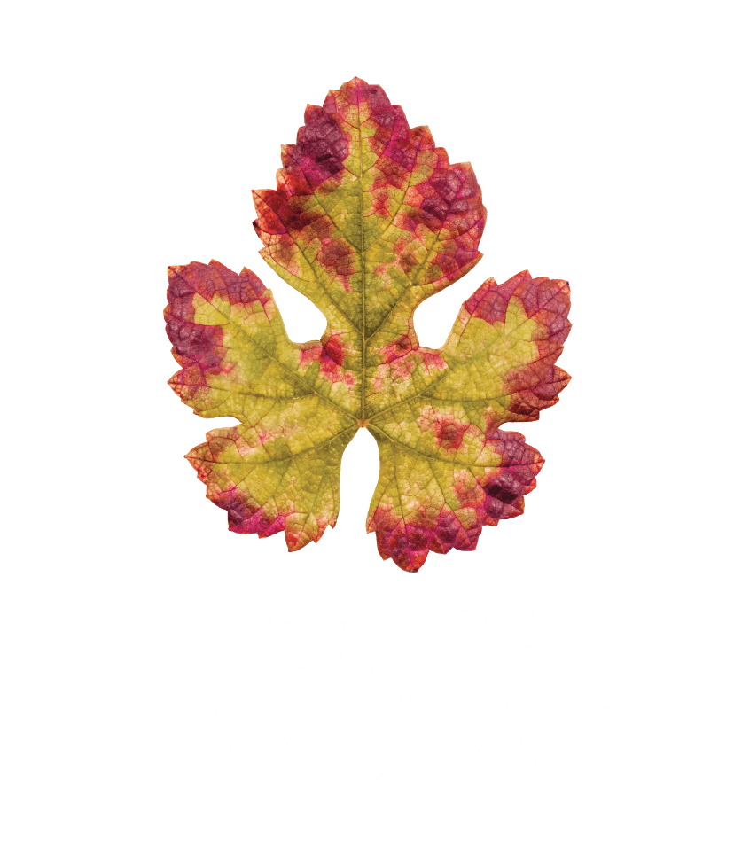 Bodega San Juan